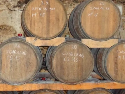 Poezija u boci Baranjskog vinogorja