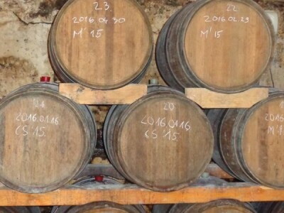 Poezija u boci Baranjskog vinogorja