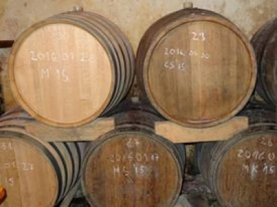 Poezija u boci Baranjskog vinogorja