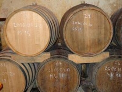 Poezija u boci Baranjskog vinogorja