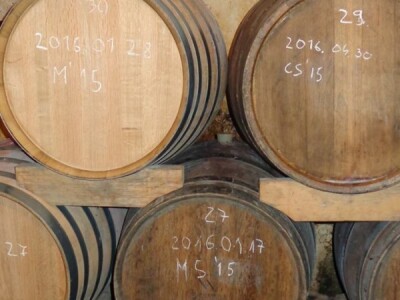 Poezija u boci Baranjskog vinogorja