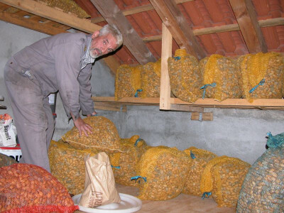 Branko Kaloper sa svojim bademima u sklasištu