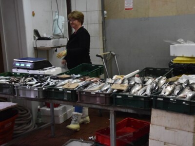 BADNJE JUTRO U ZADRU -  S peškarije na pijacu pa u mesnicu