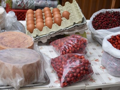 BADNJE JUTRO U ZADRU -  S peškarije na pijacu pa u mesnicu