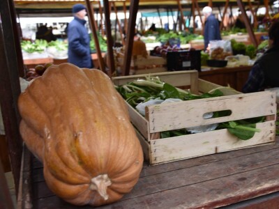 BADNJE JUTRO U ZADRU -  S peškarije na pijacu pa u mesnicu