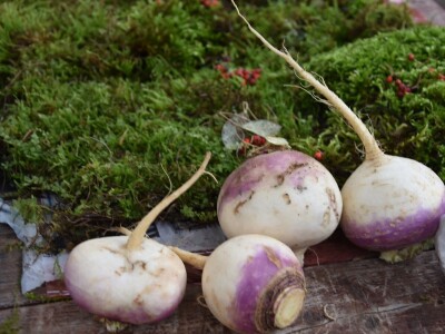 BADNJE JUTRO U ZADRU -  S peškarije na pijacu pa u mesnicu