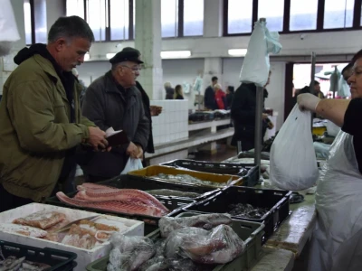 BADNJE JUTRO U ZADRU -  S peškarije na pijacu pa u mesnicu
