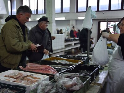 BADNJE JUTRO U ZADRU -  S peškarije na pijacu pa u mesnicu