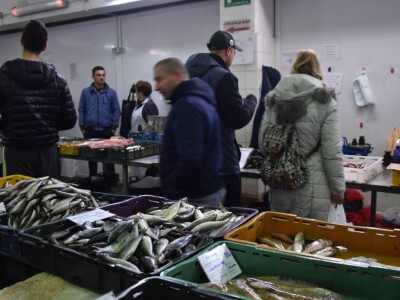 BADNJE JUTRO U ZADRU -  S peškarije na pijacu pa u mesnicu