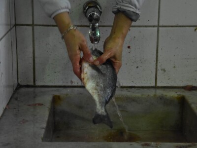 BADNJE JUTRO U ZADRU -  S peškarije na pijacu pa u mesnicu