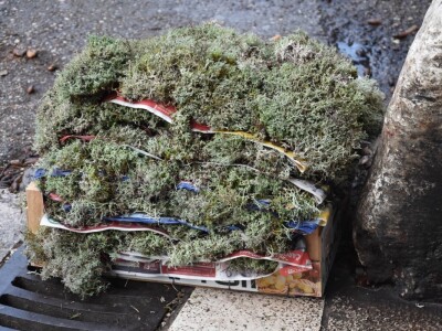 BADNJE JUTRO U ZADRU -  S peškarije na pijacu pa u mesnicu