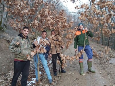 Badnji dan Badnji dan