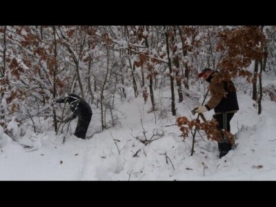 Badnji dan Badnji dan