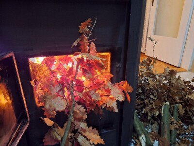 Badnji dan Badnji dan