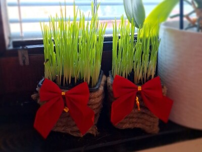 Badnji dan Badnji dan