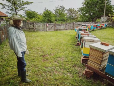 Bagremova paša i košnice