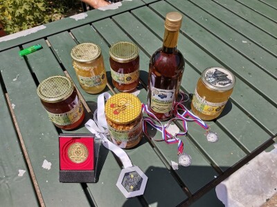 Bagremova paša je bila slaba, u proseku 8kg po košnici Bagremova paša je bila slaba, u proseku 8kg po košnici