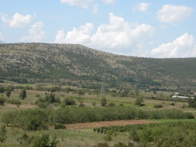 Bajamici Branka Kalopera u Vojniću Sinjskom