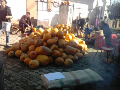 Stara seoska dvorišta - potencijal za obiteljski turizam