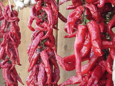 Stara seoska dvorišta - potencijal za obiteljski turizam