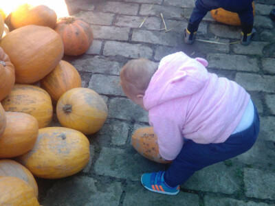 Stara seoska dvorišta - potencijal za obiteljski turizam