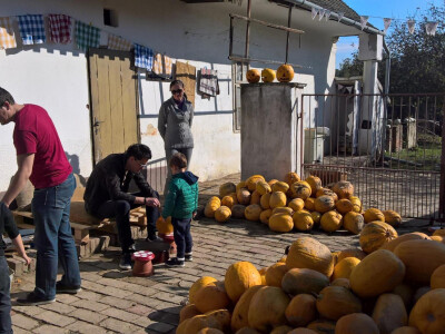 Stara seoska dvorišta - potencijal za obiteljski turizam
