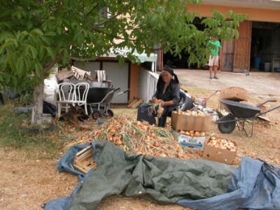 Baka Mara (85), crveni luk i njezin pas čuvar - popularni Rex