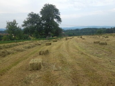 Baliranje sijena - juni 2022