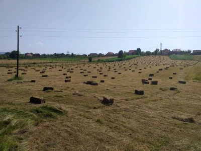 Baliranje sijena - juni 2022