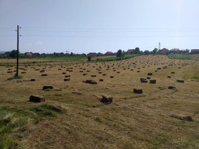 Baliranje sijena - juni 2022