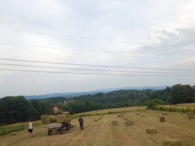 Baliranje sijena - juni 2022