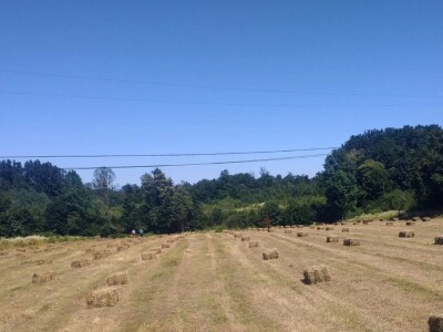 Baliranje sijena - juni 2022