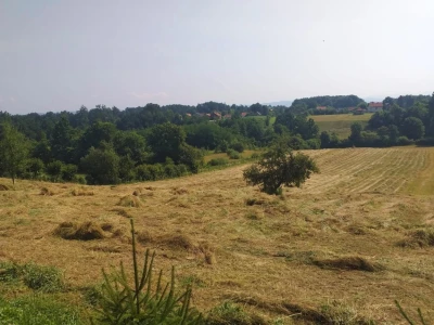 Baliranje sijena - juni 2022