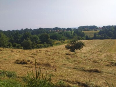 Baliranje sijena - juni 2022