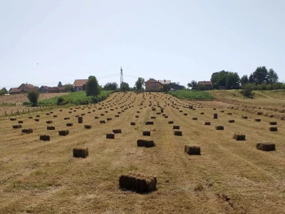 Baliranje sijena - juni 2022