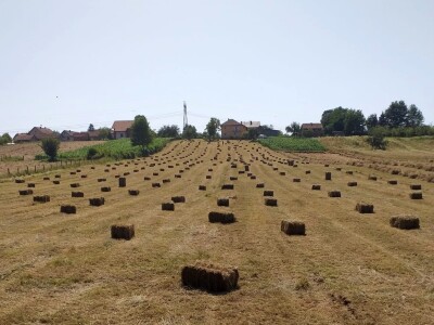 Baliranje sijena - juni 2022
