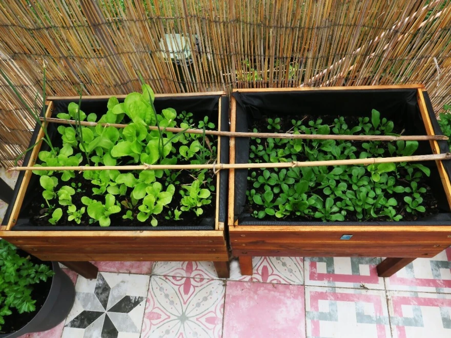 Balkon slika