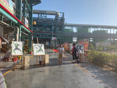 Balkrishna Industries Ltd. (BKT) Balkrishna Industries Ltd. (BKT)