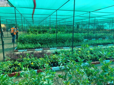 Balkrishna Industries Ltd. (BKT) Balkrishna Industries Ltd. (BKT)