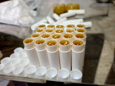 Pčelarka Elizabeth Wilson