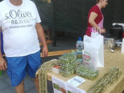 Bamija fest