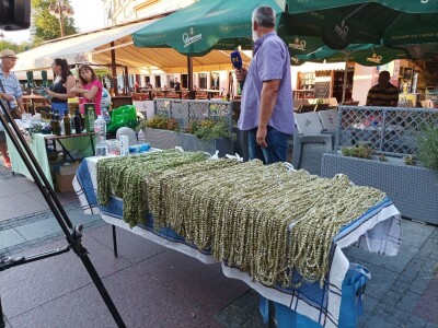 Bamija fest Brčko 2022.