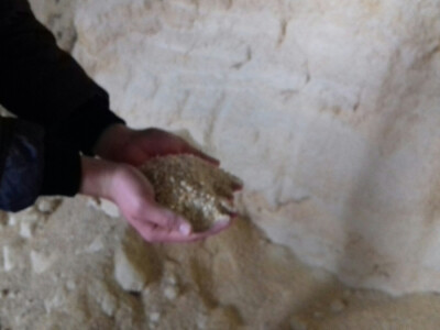 Sami proizvode svu hranu za stoku