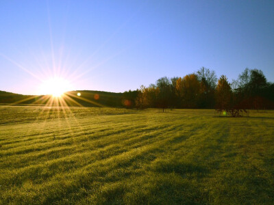 Djetelinsko travne smjese su važne u prehrani stoke