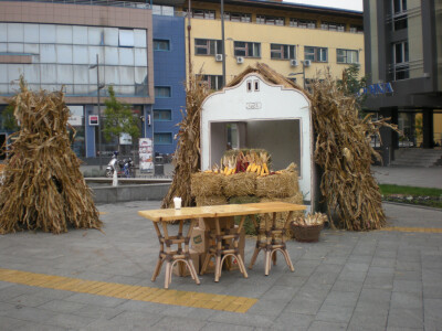 Seoski turizam na području Grada Zrenjanina