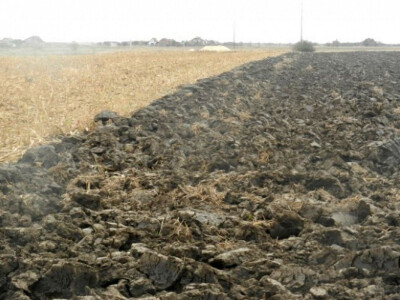 Banatske njive u novembru