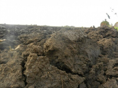 Banatske njive u novembru