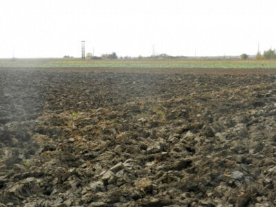 Banatske njive u novembru