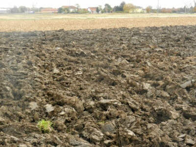 Banatske njive u novembru