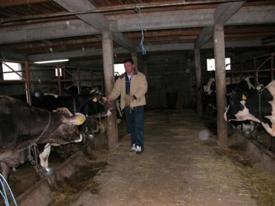 Bandalo u štali svoje farme u Udovičićima